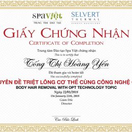 Tống Thị Hoàng Yến