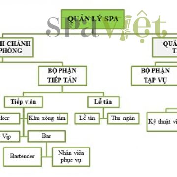 Viên Mỹ Setup Spa Trọn Bộ Như Thế Nào? (Phần 2)